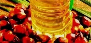 Palm Oil Refined (Пальмовое масло рафинированное)